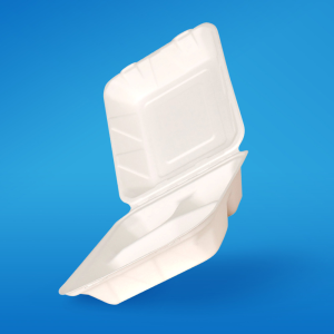 bagassebased eco friendly go green